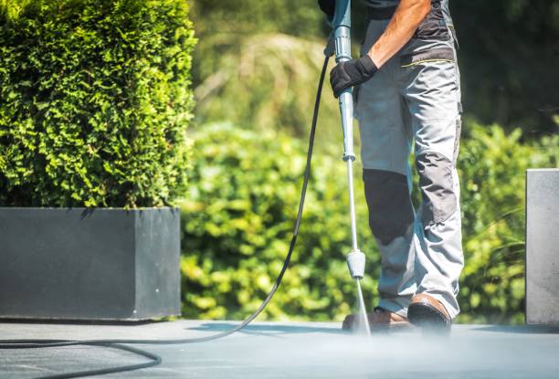 Best Driveway Pressure Washing  in Greensboro, MD