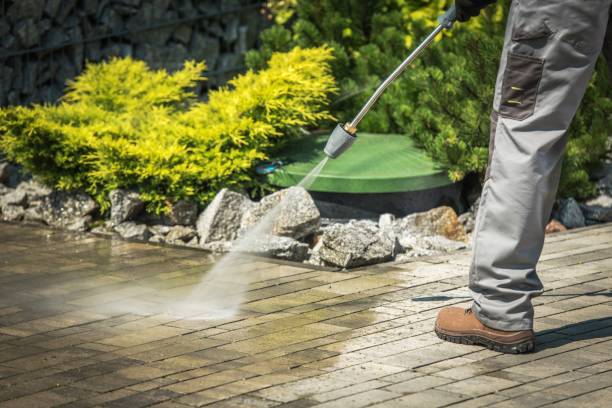 Professional Pressure Washing Services in Greensboro, MD