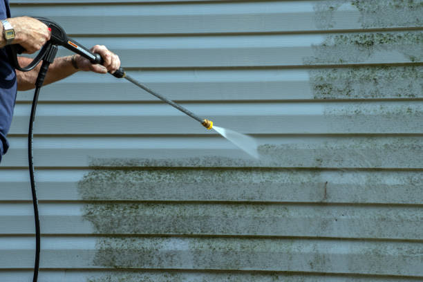 Best Pool Deck Cleaning  in Greensboro, MD